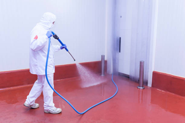 Professional Pressure Washing Services in San Marino, CA